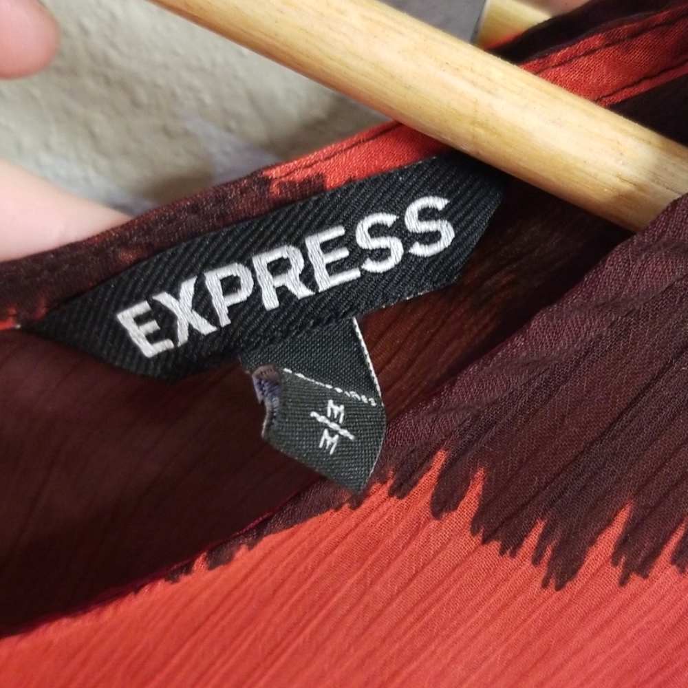 Express Dress - Picture 2 of 3